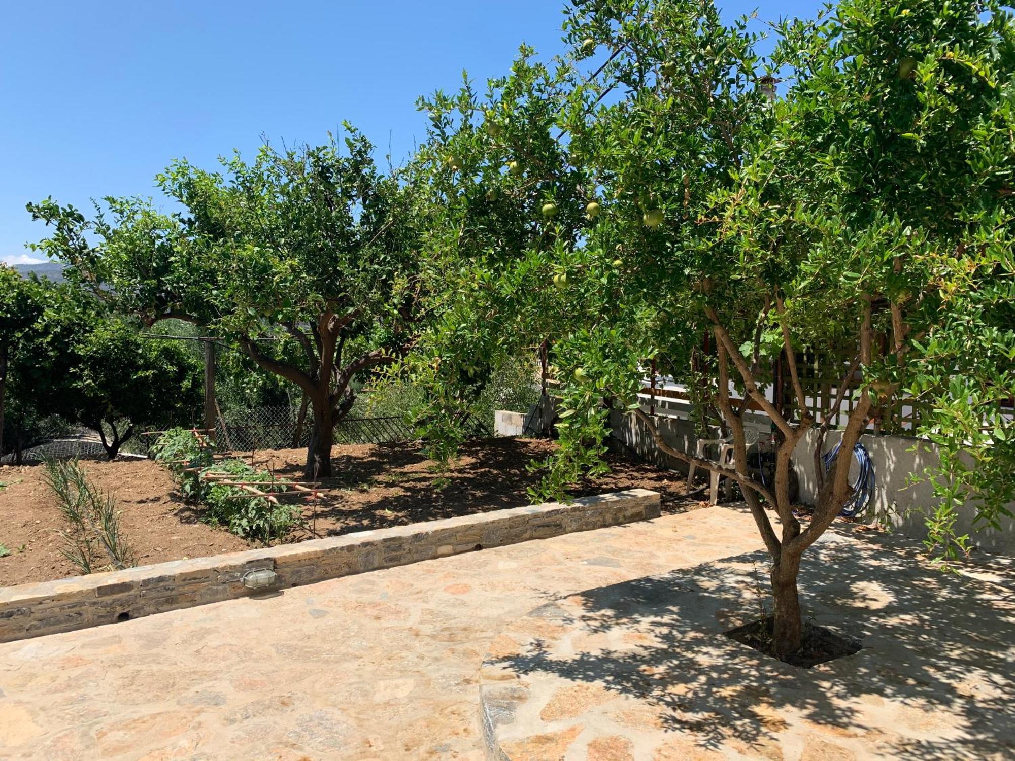 Gioma Garden Villas 伊斯特隆 外观 照片